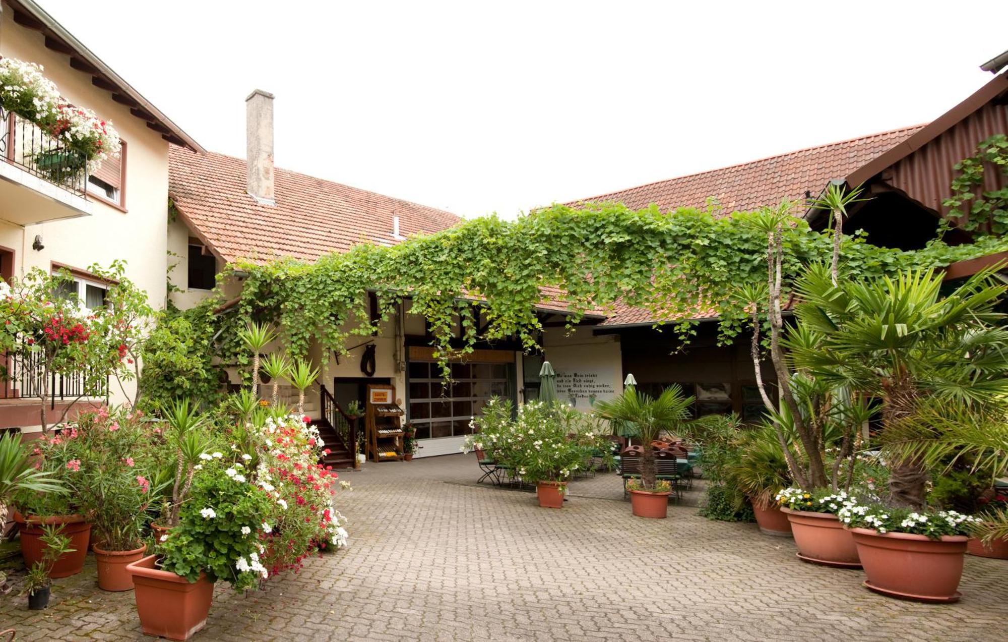Weingut Und Gaestehaus Vongerichten Oberhausen  Exterior photo